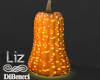 Pumpkin & Lights