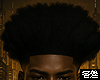 🅉 - Afro Hair Style²