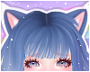 🌙 Lynx Ears Moon