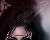 S*Dominici Raven*