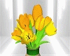 Tulips `` Yellow