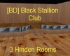 [BD] Black Stallion Club