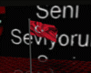 Turkish animated flag
