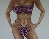 Pink Zebra Print Bikini 