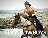 Sexy Cowboys Dance Club