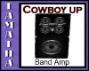 Band Amp Speaker