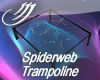 Spiderweb Trampoline