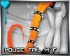 (E)Mouse Tail: Orange