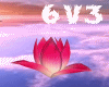 6v3| Lotus Bud