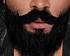 Beard King ♛✔