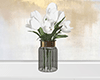 Tulips | White