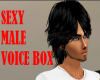 SEXY MALE VOICE BOX
