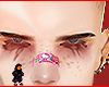 Shepp brows