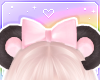 🌙 Sweet Bear Black