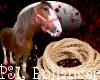 PSL Horse & Rope Enh