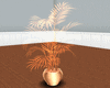 [MK] plante w1