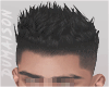 Asian Hair