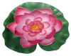Lilly Pad Radio