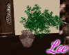 BrownSuga~PlantV1