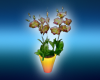 bright flower pot