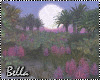 ^B^ Spring 2025