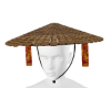 Chinese Dragon Hat F