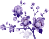 Purple Flower Branch