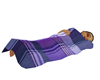 PurplePlaid Sleeping Bag