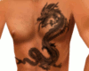 Ultimate Dragon Tattoo