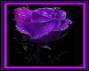 (AL)Purple Rose Sticker