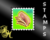 seashell RM 08