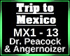 Trip to Mexico