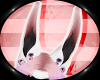 Bunny - EarsV4