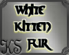 White Kitten Fur