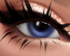 Jetta Eyes