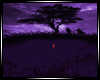 C| Purple Night Field