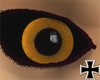 [RC] Big Brown eyes