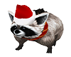 Christmas Racoon