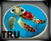 turtle rug