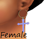 Cross Earrings Mesh