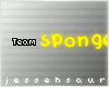 js} sponges.