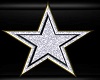 SILVER STAR PIN