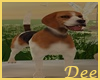 Animated Beagle Dog