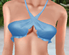Blue Silk Bikini