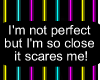 I'm Perfect