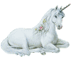 Cute Fantasy Unicorn
