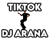 DJ ARANA DANCINHA TIKTOK
