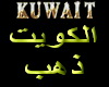 [A] KUWAIT Necklace