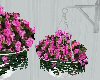 Hanging flowers pink 1