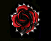 Black/Red Rose Particle